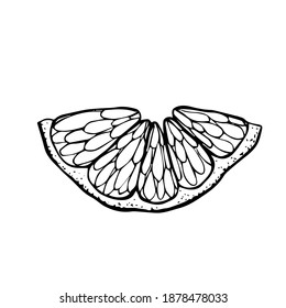Cut off a semicircle of a citrus. A slice of tangerine lemon orange hand drawn black outline doodle sketch clip art. Coloring page. Stock vector illustration isolated on white background.