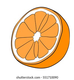 cut orange fruit halves isolated on white background of vector illustrations