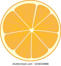 Cut orange fruit isolatedvector illustration