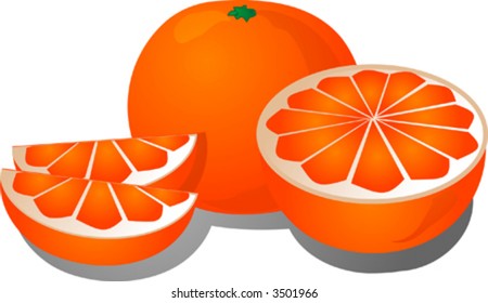 Cut orange illustration of orange cut into half and sections