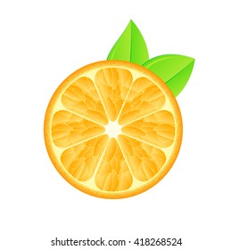 Cut orange with leaves on a white background. Isolated vector illustration.