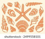 Cut out seashells collection seashore vacation block print. Peach orange seashell cutouts vintage collage element set. Coastal holiday design with a retro vibe, sea shell icons summer beach print.