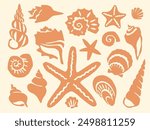 Cut out seashells collection summer sea vacation block print. Peach orange seashell cutouts vintage collage element set. Coastal holiday design with a retro vibe, seashell icons nautical poster print.