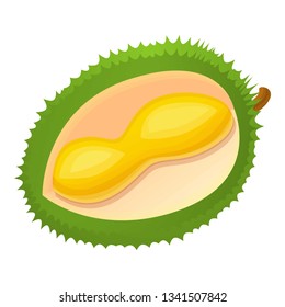 Cut part of durian icon. Cartoon of cut part of durian vector icon for web design isolated on white background