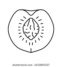 cut peach pit line icon vector. cut peach pit sign. isolated contour symbol black illustration