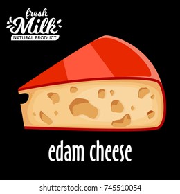 cut piece of cheese edam vector isolated on black background. Edam cheese vector icon