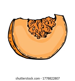 Cut piece of Pumpkin. Vector color illustration of a hand-drawn drawing with a black outline on a white background.