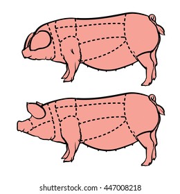 Corte de cerdo conjunto. Cerdo dibujado a mano aislado sobre fondo blanco. Ilustración vectorial de dibujo. Diagrama del carnicero.