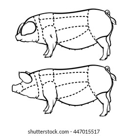 Cut of pig set. Hand drawn outline pig isolated on white background. Drawing Vector illustration. Butcher diagram.