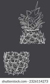 Cut pineapple drawn from white lines isolated on black background
