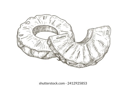 Ananas schneiden, runde Scheibe, Halbkreis-Stück im Retro-Vintage-Stil. Exotische tropische Früchte, Skizzenzeichnung, Ätzung. Handgezogene Ananas. Detaillierte Vektorgrafik einzeln auf weißem Hintergrund