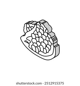 ícone isométrico de frutas romã cortado vetor. sinal de frutas romã cortado. ilustração de símbolo isolado