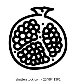 cut pomegranate line icon vector. cut pomegranate sign. isolated contour symbol black illustration