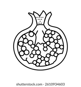 cut pomegranate line icon vector. cut pomegranate sign. isolated contour symbol black illustration