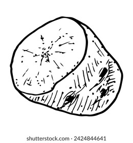 Cut potato tuber sketch. Vegetarian food. Starchy vegetable. Hand drawn vector illustration.