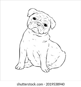 cut pug dog with hand draw or sketch style