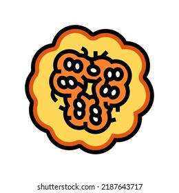 cut pumpkin from above color icon vector. cut pumpkin from above sign. isolated symbol illustration