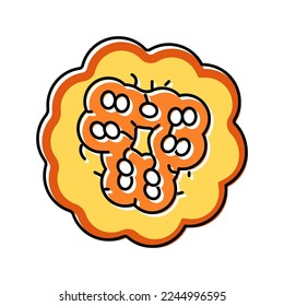 cut pumpkin from above color icon vector. cut pumpkin from above sign. isolated symbol illustration