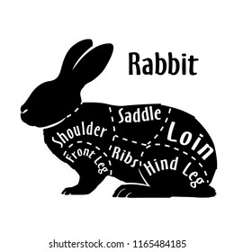 Cut of rabbit, diagram for butcher. Poster for butcher shop. Guide for cutting. Vector illustration.