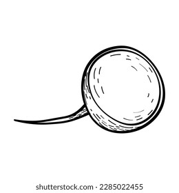 Cut radish on white background