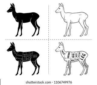 Cut of roedeer set. Poster Butcher diagram - roe. Vintage typographic hand-drawn. Vector illustration