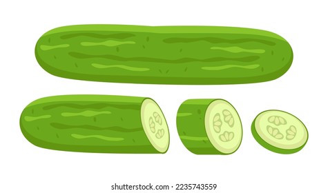 Cut and sliced cucumber or zucchini vector illustrations set. Collection of cartoon drawings of slices of green vegetable, whole and cut cucumber or zucchini. Food, nutrition, diet concept