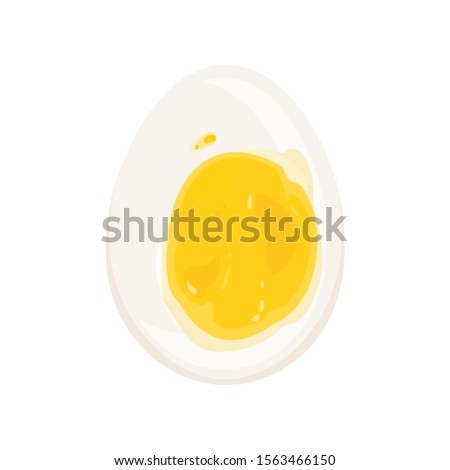 Cut soft-boiled egg vector illustration. Protein and yolk. Healthy nutrition item, dietetic product. Breakfast food, cooking ingredient. Boiled egg half isolated on white background.