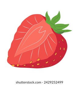 Cut strawberry. Red ripe strawberry Isolated cut strawberry on a white background. Vector illustration. 