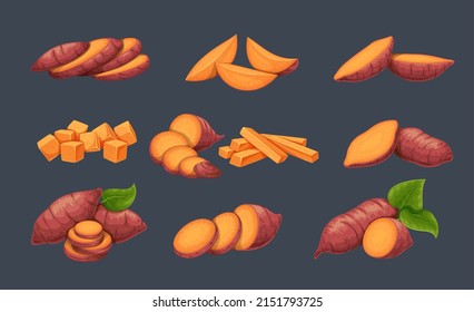 Cut sweet potato or yam. Whole batata, batata cut circles, sliced to sticks. Vector illustration of vegetable sweet potatoes.