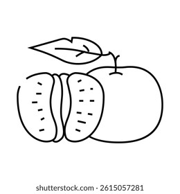 cut tangerine leaf line icon vector. cut tangerine leaf sign. isolated contour symbol black illustration