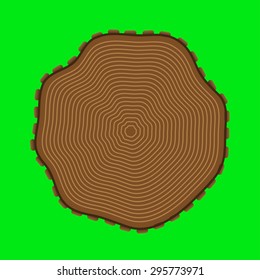 Cut of a tree with annual rings