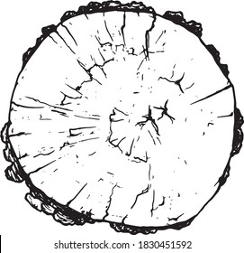 To cut the tree illustration, drawing, engraving, ink, line art, vector realistic illustration of the stump of the view from the top black line
