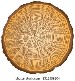 Cut of a tree with a large number of annual rings.
