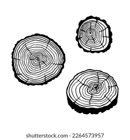 Un corte de un árbol, un trozo. Ilustración del material vectorial, aislamiento sobre fondo blanco, contorno. Dibujo manual.