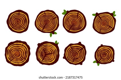 Cut tree trunk. Stump cross section. Concentric circular pattern on brown wood. Logger and Woodworking Industry Icon