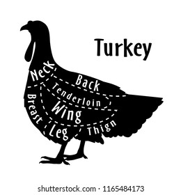 Cut of turkey, diagram for butcher. Poster for butcher shop. Guide for cutting. Vector illustration.