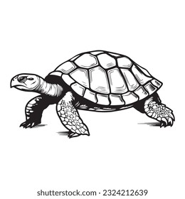 Tortuga cortada en dibujos animados, estilo garabato. 2d ilustración plana en logotipo, estilo icono. Negro y blanco