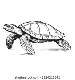 Cut turtle in cartoon, doodle style. 2d flat illustration in logo, icon style. Black and white