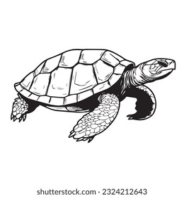 Cut turtle in cartoon, doodle style. 2d flat illustration in logo, icon style. Black and white