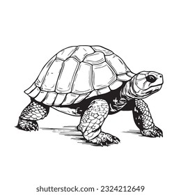 Cut turtle in cartoon, doodle style. 2d flat illustration in logo, icon style. Black and white