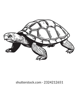 Cut turtle in cartoon, doodle style. 2d flat illustration in logo, icon style. Black and white