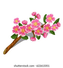 Cut a twig of a flowering tree isolated on white background. Vector cartoon close-up illustration.