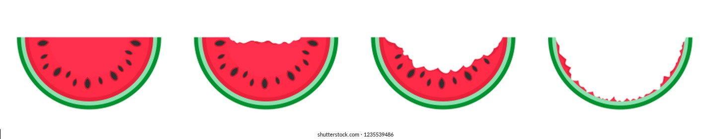 Cut watermelon set Vector illustration Vegan concept