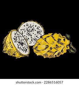 Cut and whole fresh Yellow Dragon Fruit or Pitaya. Pitahaya cactus. Selenicereus megalanthus. Hand drawn colorful rough sketch. On black background.