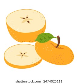 Cut yellow apple cartoon icon. Cross section of cut apple, slices fruit, Hand drawn trendy flat style isolated on transparent background. cut apple for design, infographic. Vector illustration