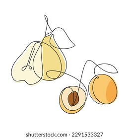Cut yellow pear and apricot vector. Line continuous hand drawn illustration. Garden fruit outline icon, linear silhouette. Minimal design, print, banner, card, brochure, logo, menu, sign, symbol.