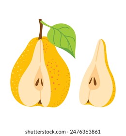 Cut yellow pear with pear wedge cartoon set. Cross section of cut fresh, juicy yellow pear, slices fruit, Hand drawn trendy flat style isolated on transparent background. Vector illustration