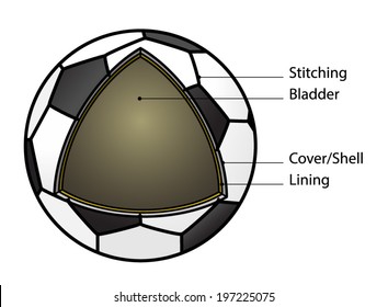 Cut-away diagram showing the construction of a soccer ball. With text labels.