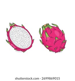 Cutaway Dragon Fruit Vektor - Ganzer und halber Schnitt tropische Pitaya Illustration