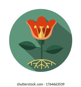 Cutaway Flower. School Subject Botany Or Biology. Vector Flat Color Icon With Long Shadow. Isolated On A White Background.